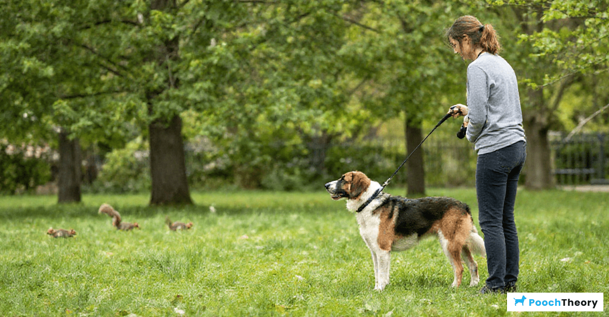 Basic Recall Training Techniques