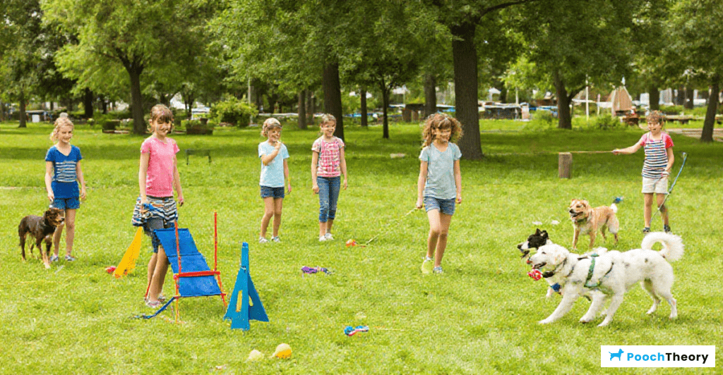 Children engaging in dog training games in a sunny park setting with various activities and dog breeds present.