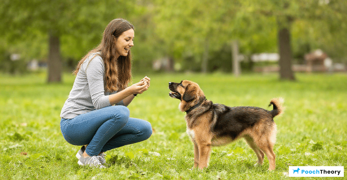 Benefits of Positive Reinforcement