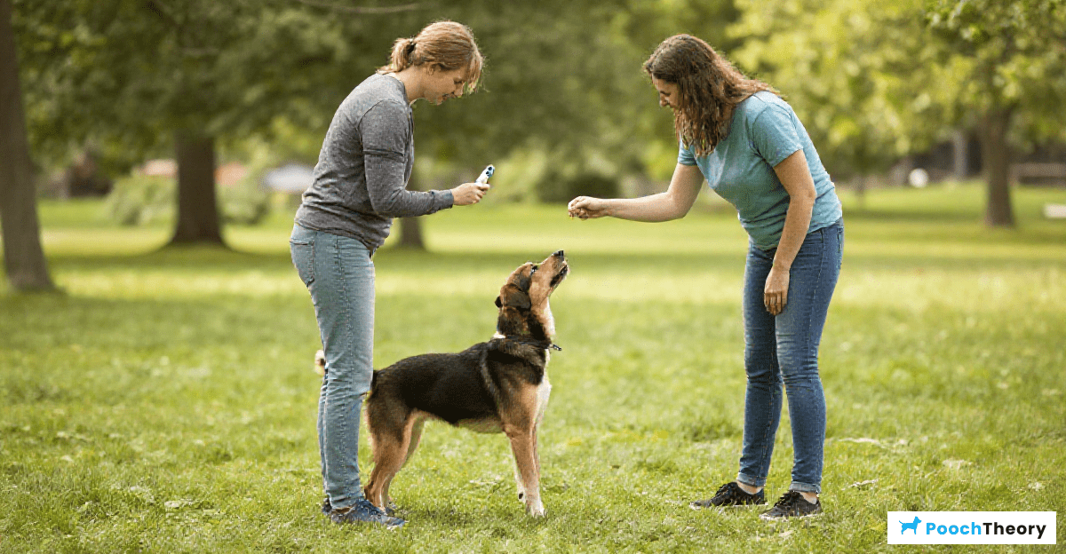 Establishing Consistency in Training