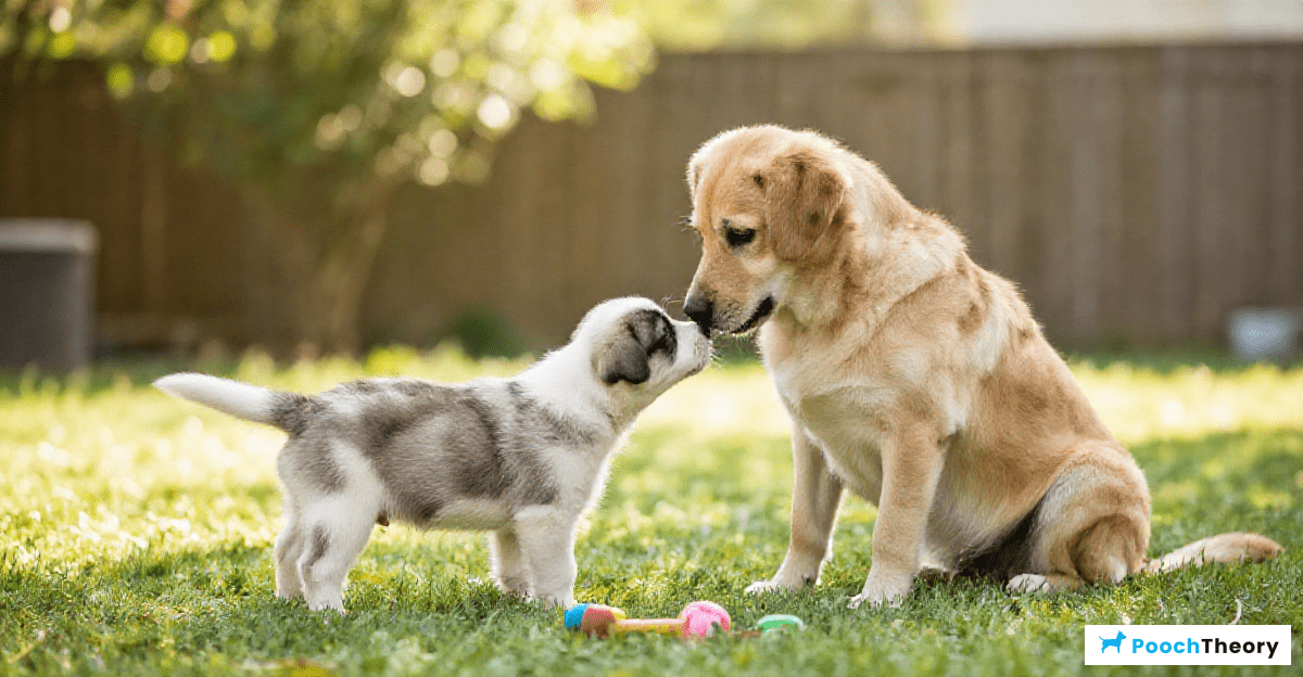 Fostering a Positive First Encounter
