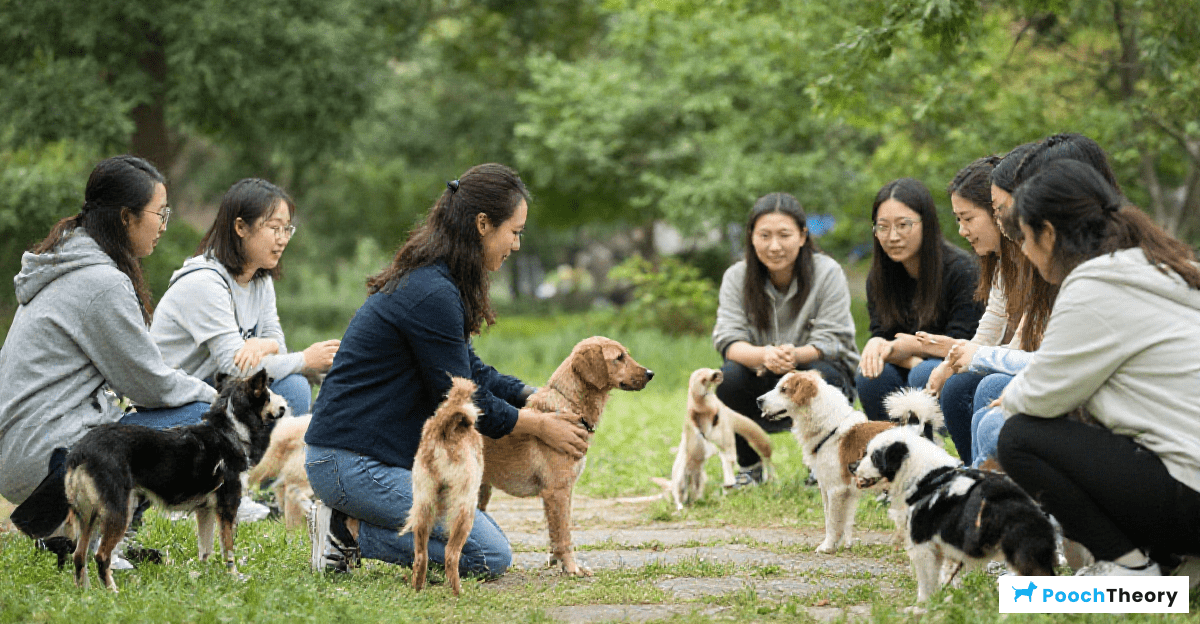 Gradual Socialization Techniques