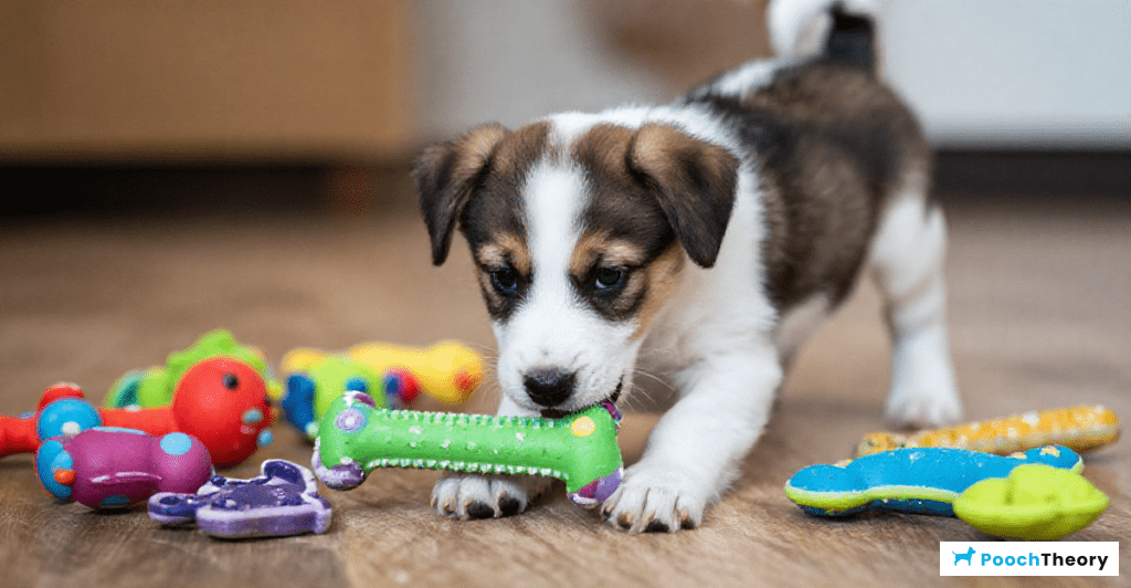 How to effectively redirect a puppy's chewing behavior towards toys.