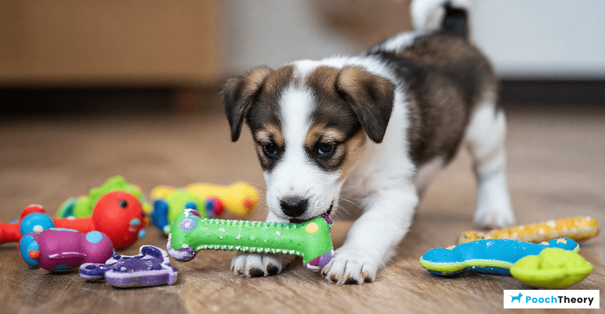 You are currently viewing How To Redirect Puppy Chewing To Toys Effectively