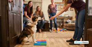 Read more about the article The Best Impulse Control Games For Dogs That Jump On Guests