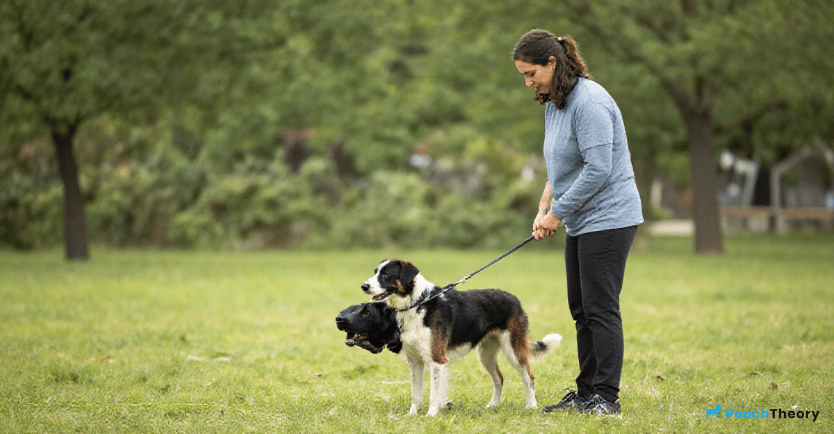 Managing Reactivity During Training