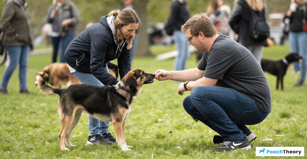Overcoming Training Challenges