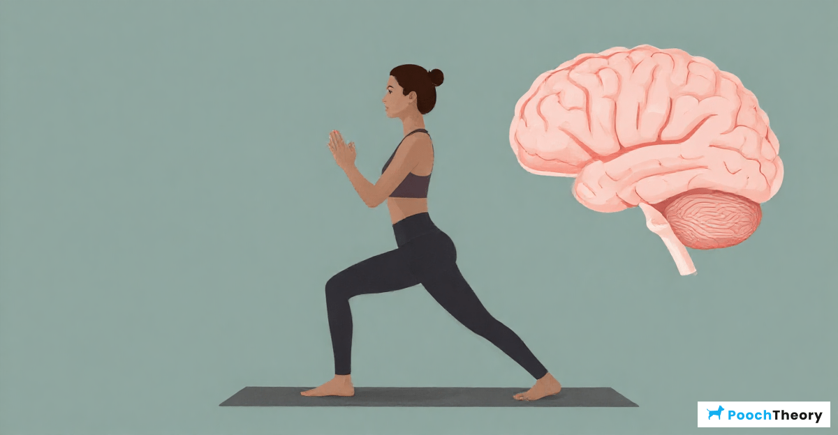 Physical Exercise and Mental Stimulation