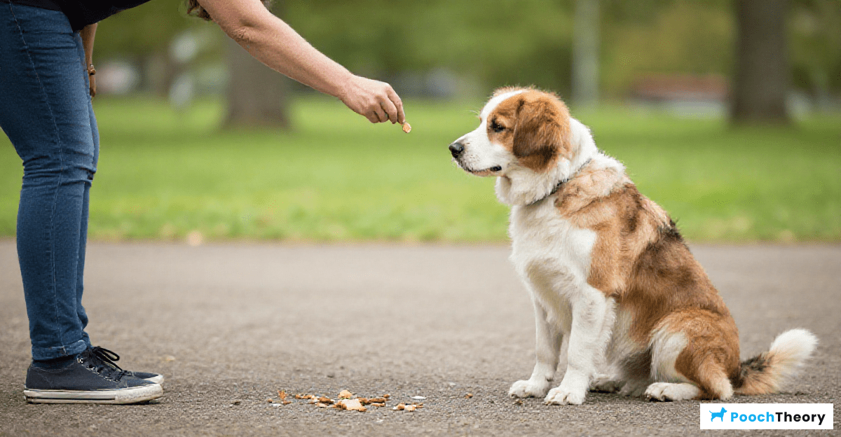 Reinforcing Good Behavior