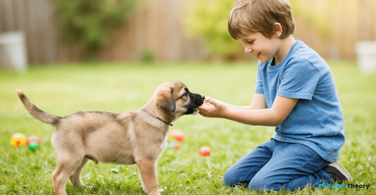 Teaching Children to Interact Safely with Puppies
