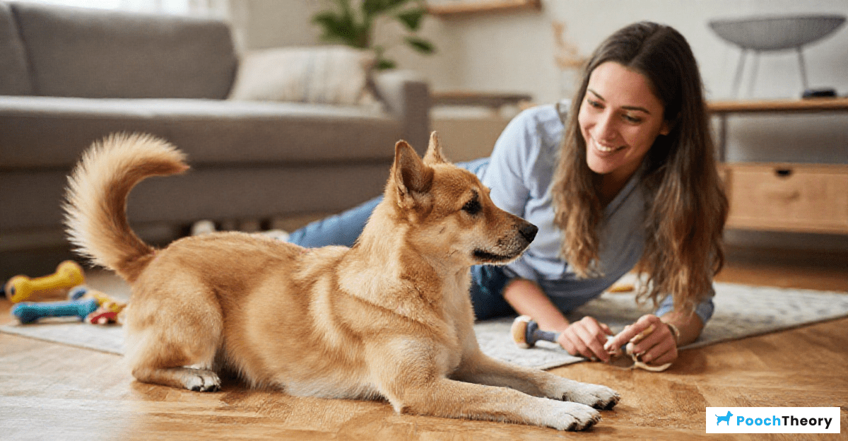 Understanding Your Dog's Body Language