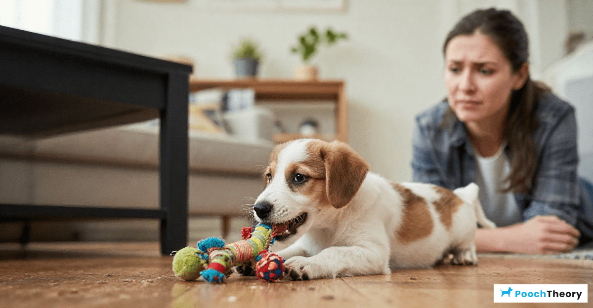 Using Positive Reinforcement