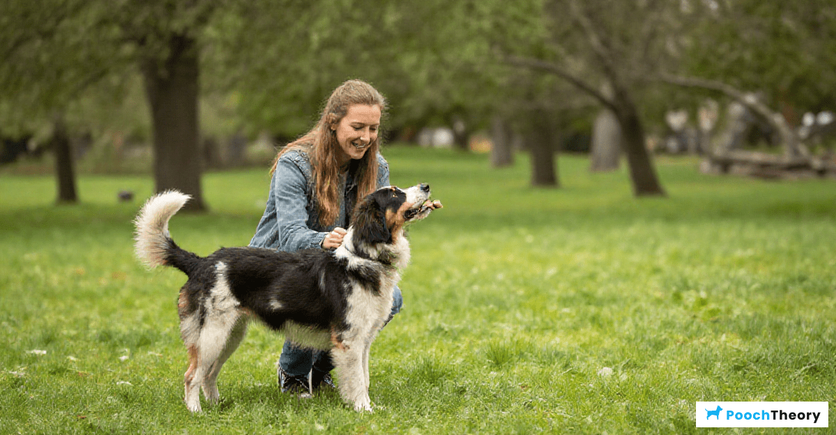 Utilizing Positive Reinforcement