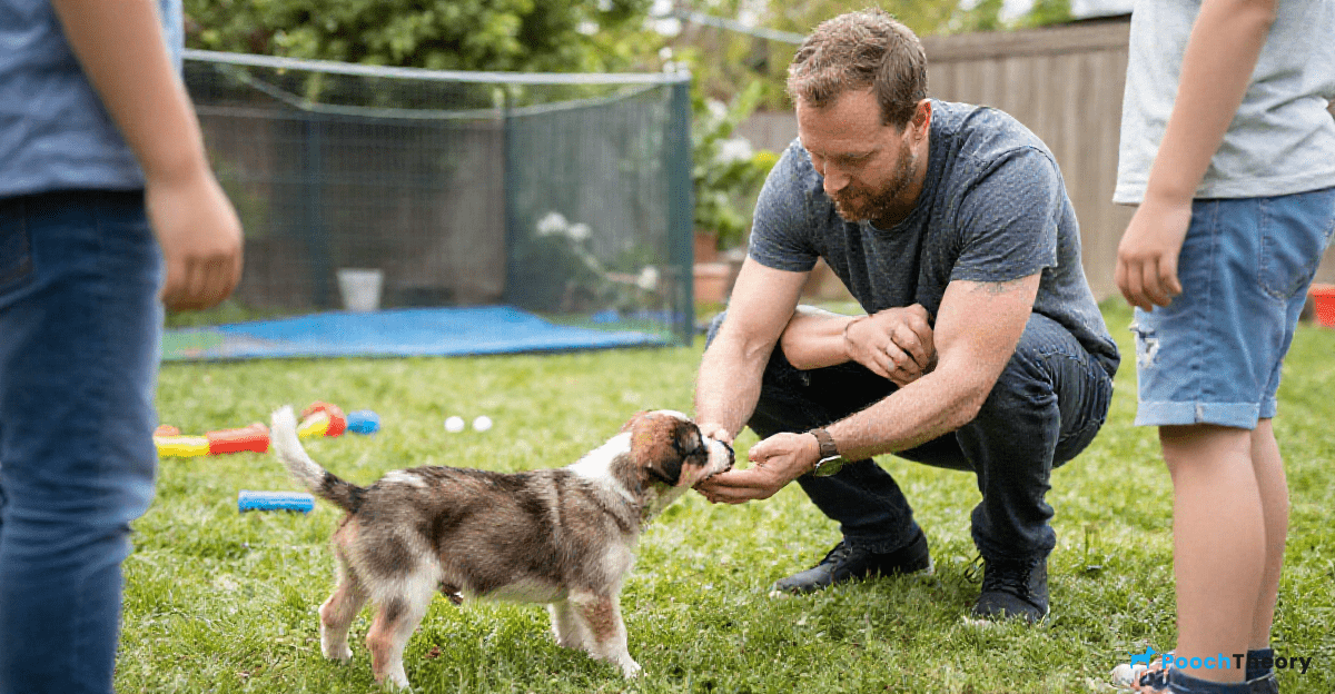 When to Seek Professional Help for Your Dog