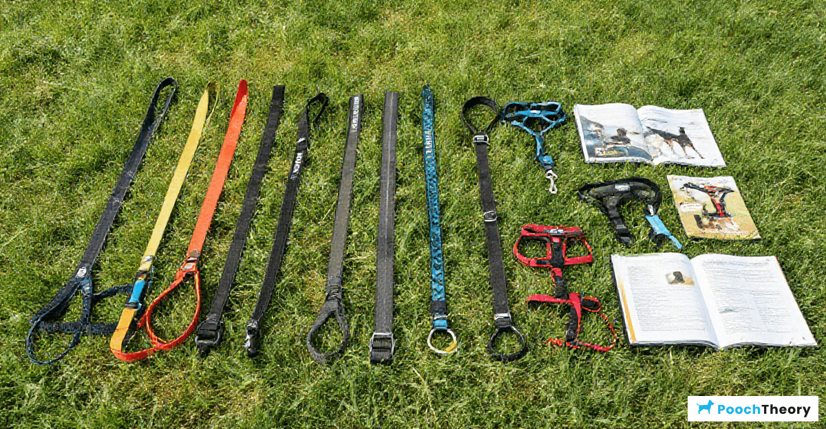 Choosing the Right Equipment for Long Line Training