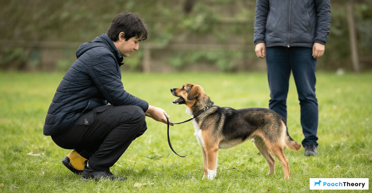 Desensitization Process for Reactive Behaviors