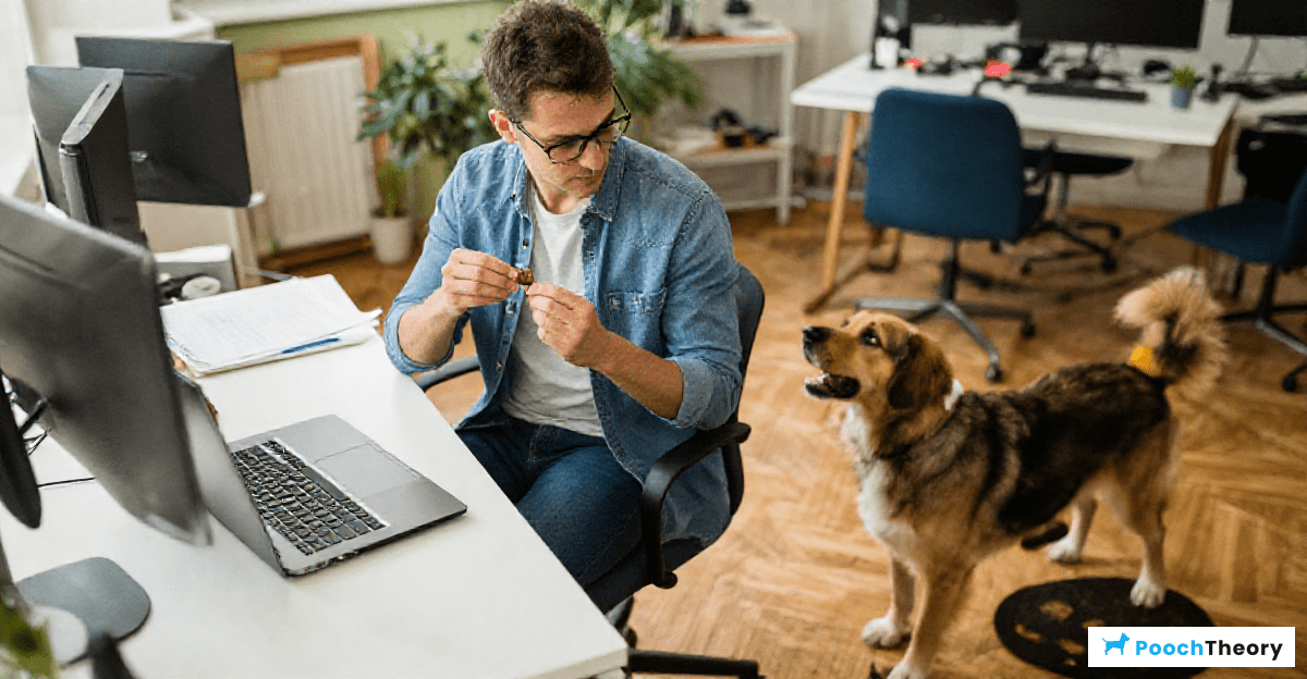 Integrating Training into a Busy Schedule
