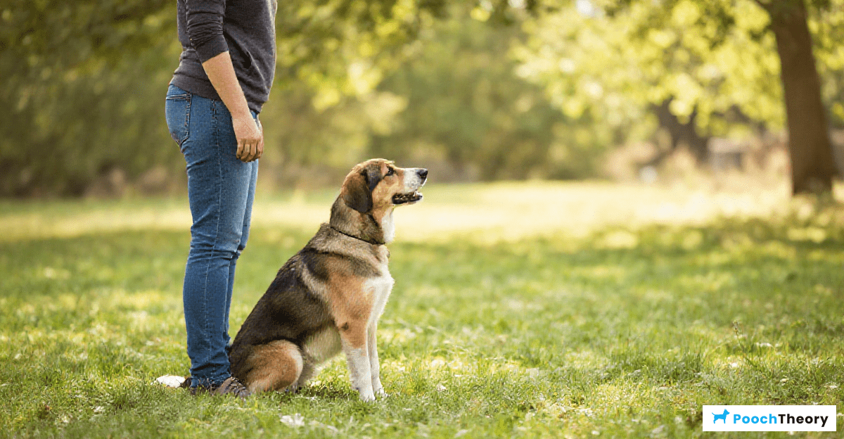 Maintaining Recall Skills After Training