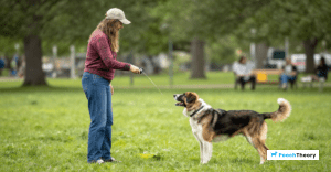 Read more about the article Mastering The Emergency Stop Command For Off-Leash Dogs