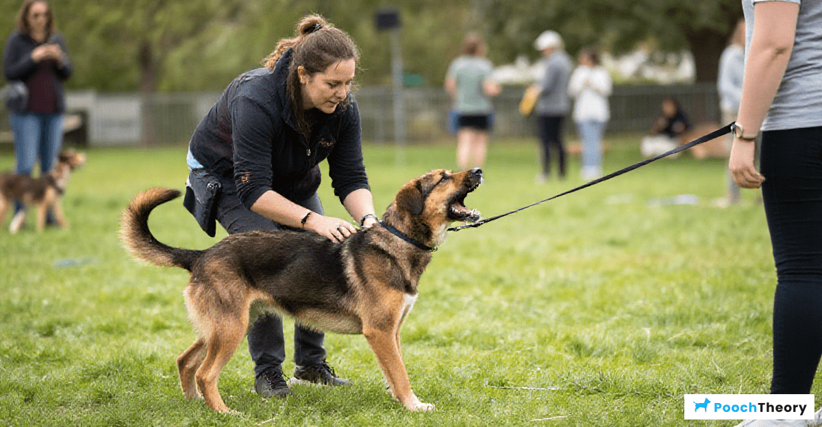 Monitoring Progress in Training