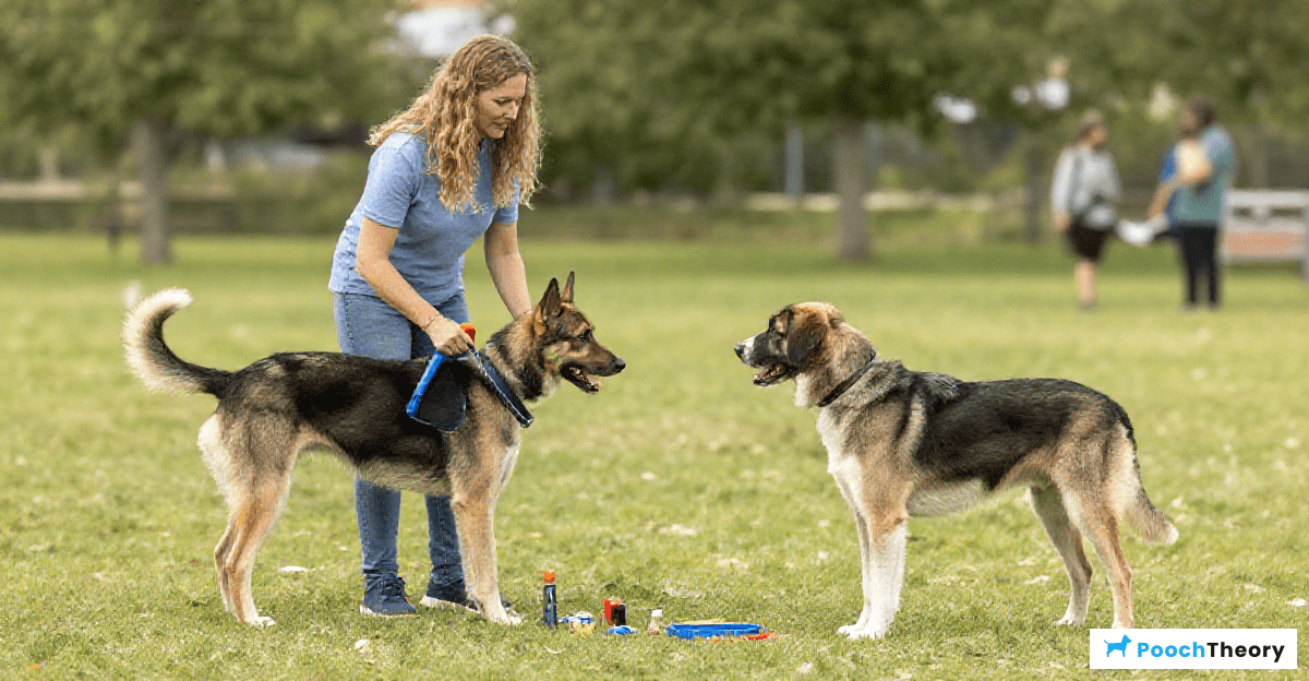 Tips for Effective Training Sessions
