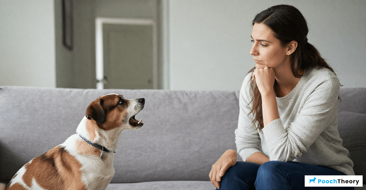 When to Consult a Professional