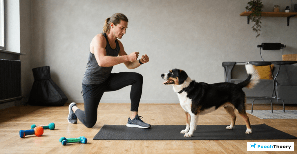 Tips for training high-energy dogs in an apartment setting.