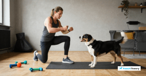 Read more about the article Apartment Dog Training Tips For High Energy Breeds