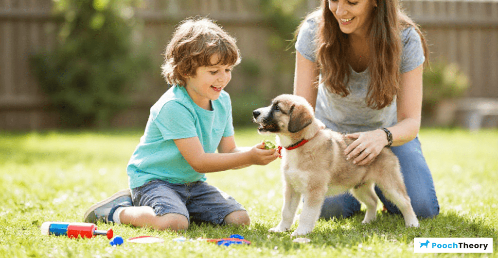 How to safely engage children in puppy training with fun and guidance.
