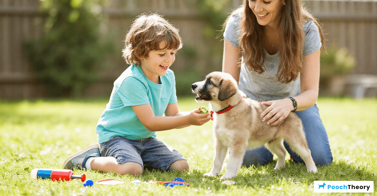 Read more about the article How To Involve Children In Puppy Training Safely
