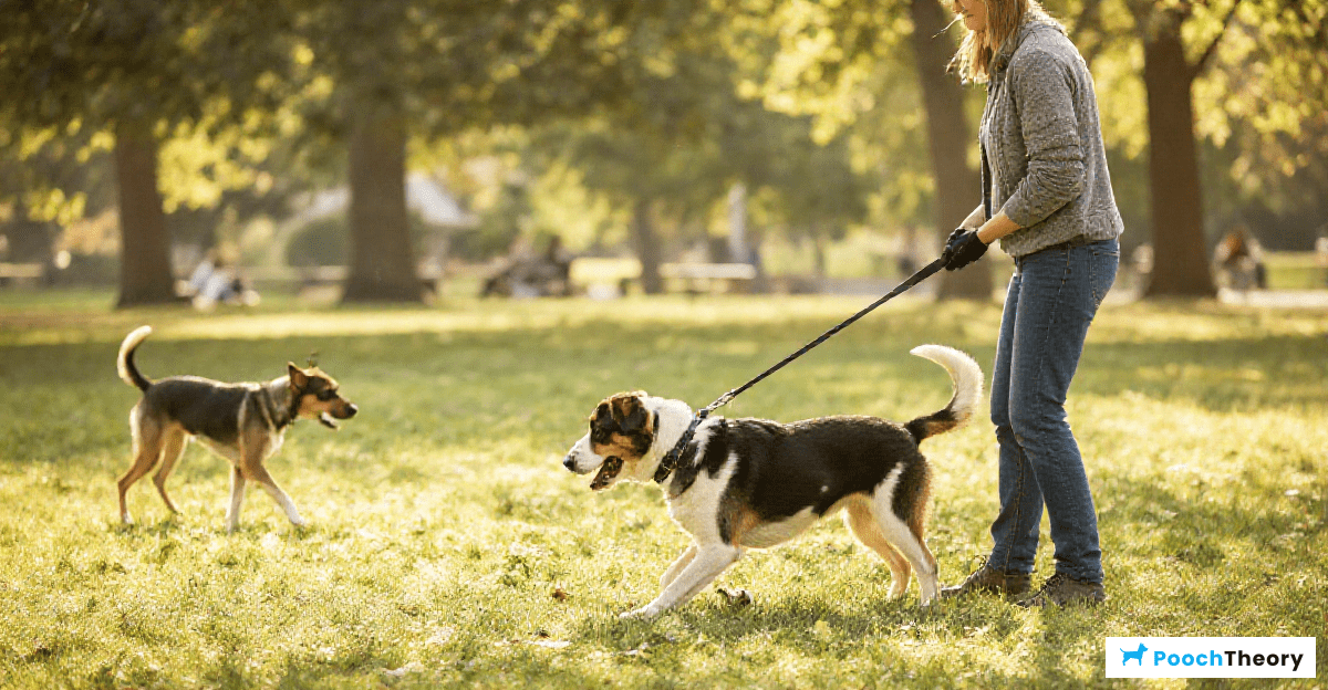 The Impact of Pulling on Walks