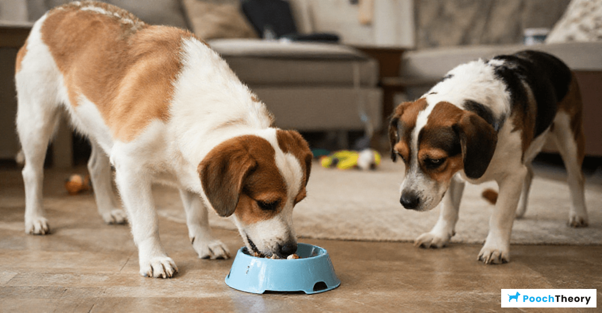 Implementing Structured Feeding Practices