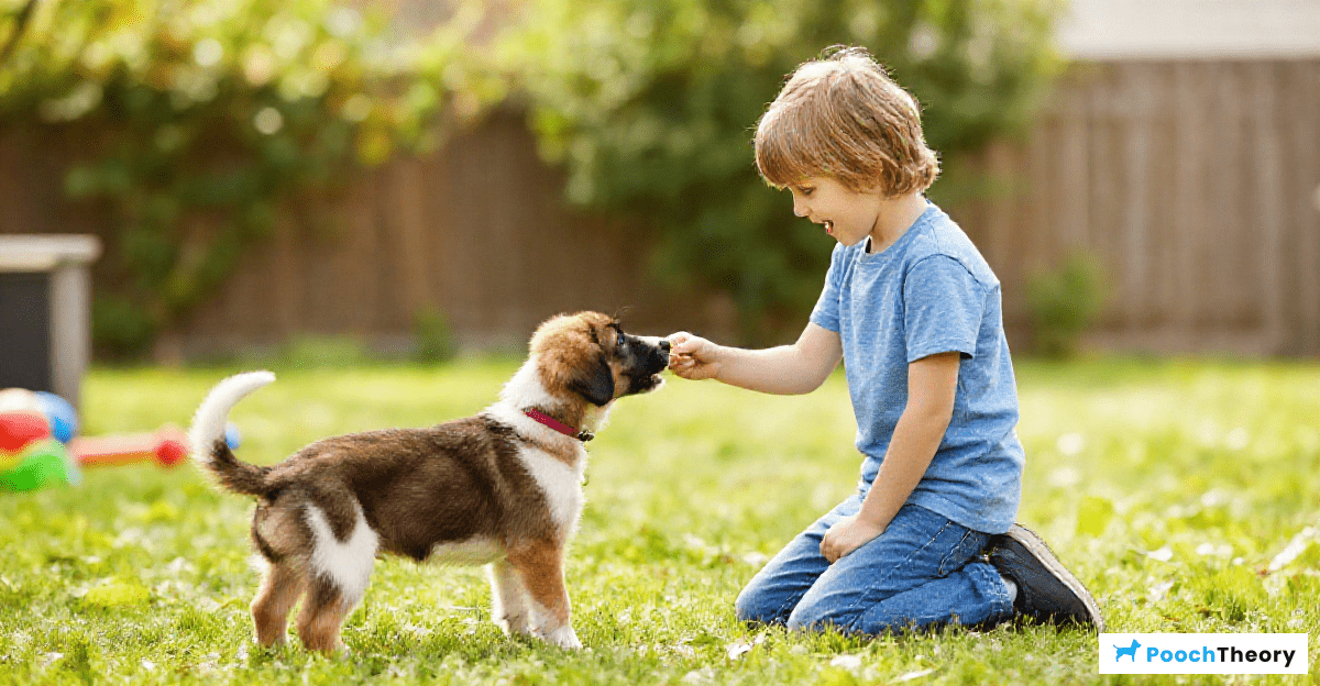 Nurturing the Bond Through Training