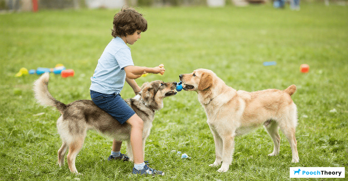 Practical Tips for Engaging Children in Dog Training