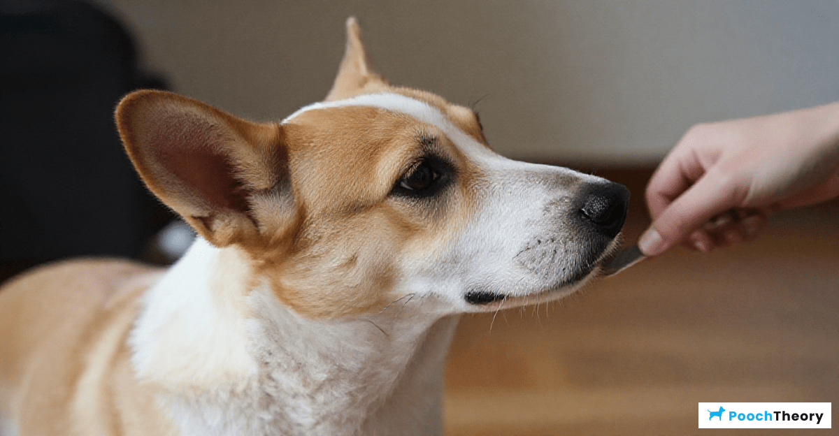 Recognizing Body Language Indicators