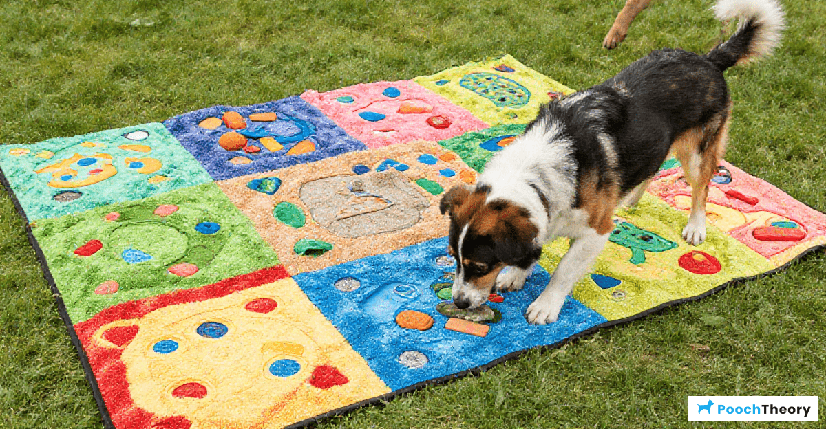 Basic Games for Introducing Snuffle Mats