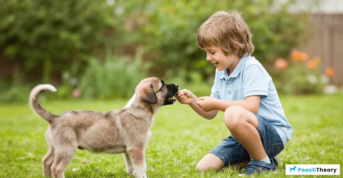 The Role of Positive Reinforcement