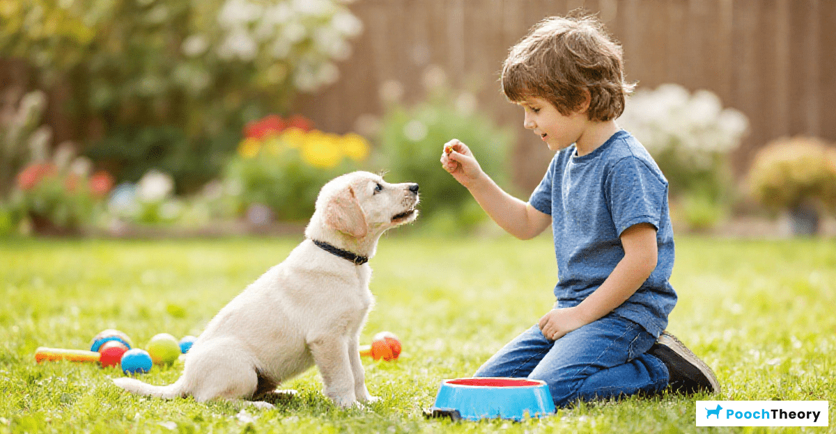 Understanding Puppy Behavior: A Guide for Kids