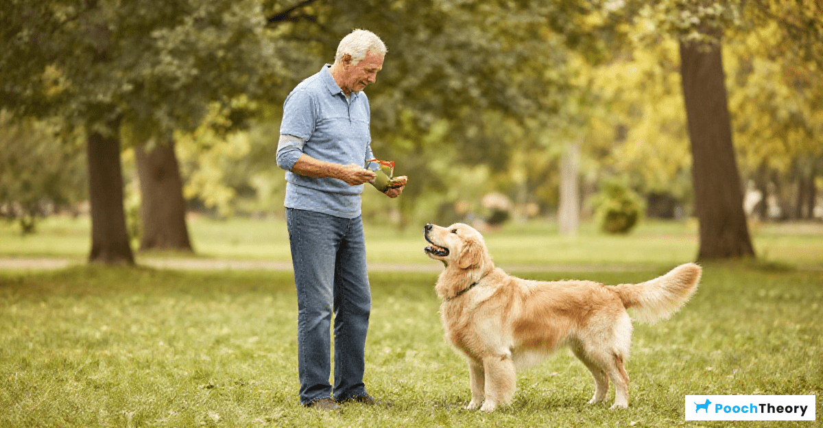 Adapting Training for Older Adults