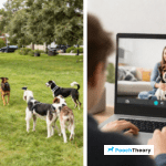 Online Dog Training Courses Vs Local Classes: Which Works Better?
